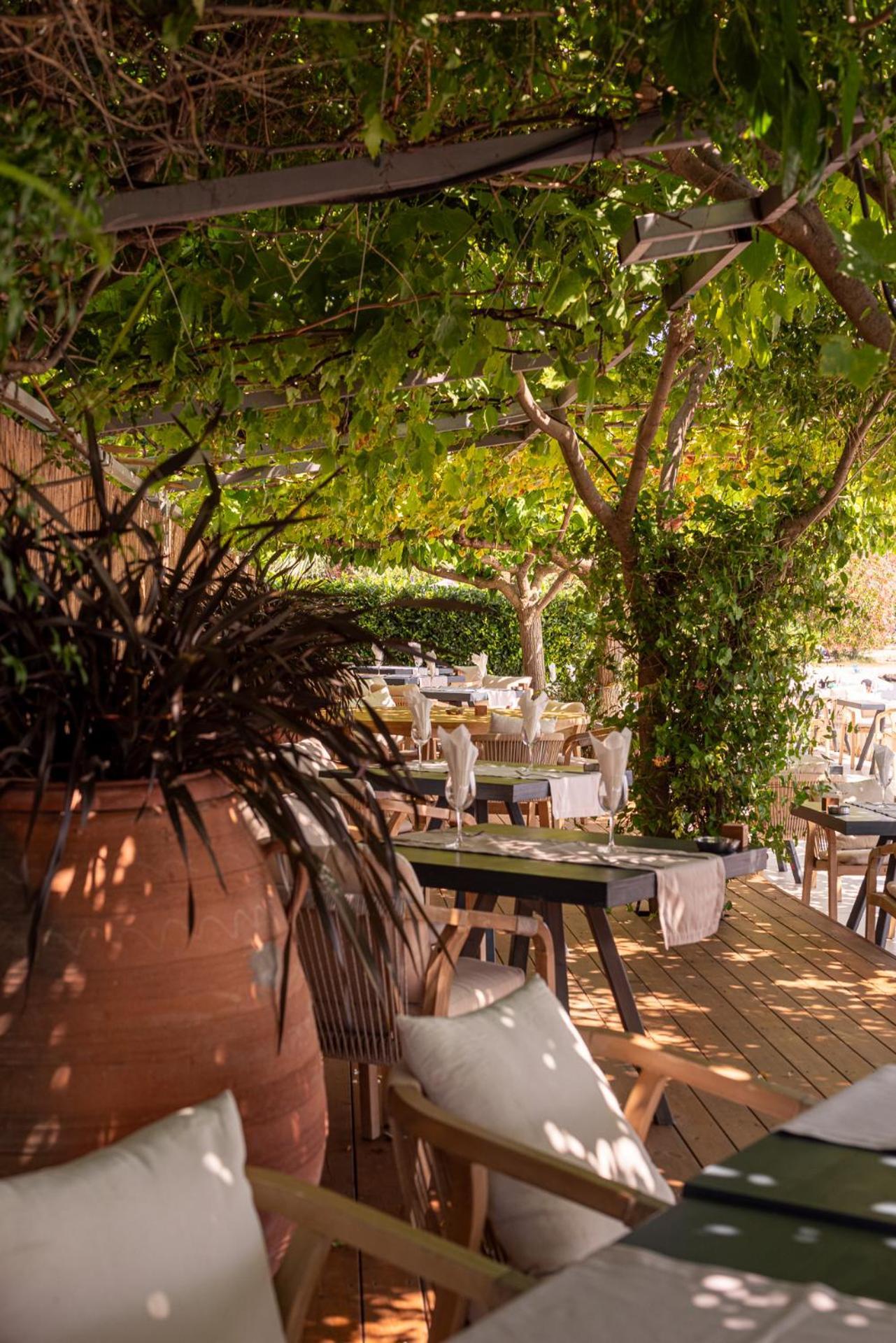 Corissia Beach Hotel Georgioupoli Ngoại thất bức ảnh